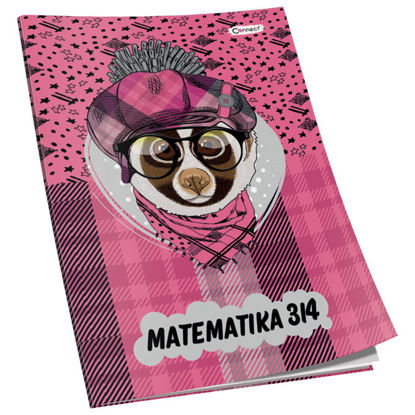 Picture of Matematika za 3 i 4razred Premium Connect Girl