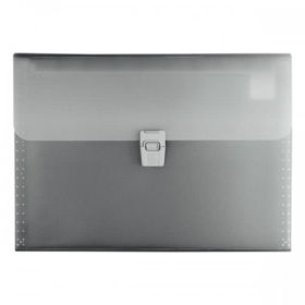 Prikažite detalje za Mapa za kućni budžet 10 pregrada s kopčom A4 Fact Brunnen 10-20240 80 siva Slika Mapa za kućni budžet 10 pregrada s kopčom A4 Fact Brunnen 10-20240 80 siva