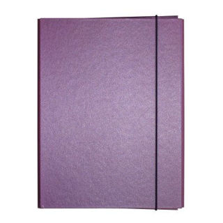 Slika Fascikl kartonski Exclusive Pearly sa gumicom 2,5cm ljubičasti purple rain